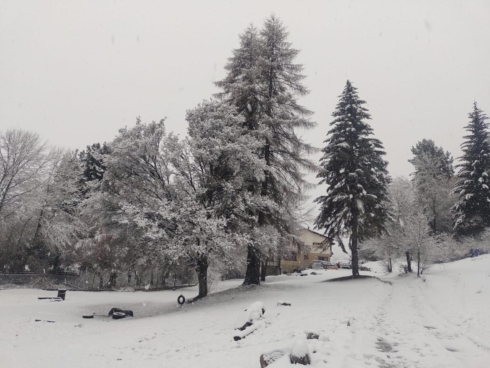 Posada Del Nireco San Carlos de Bariloche Exterior foto