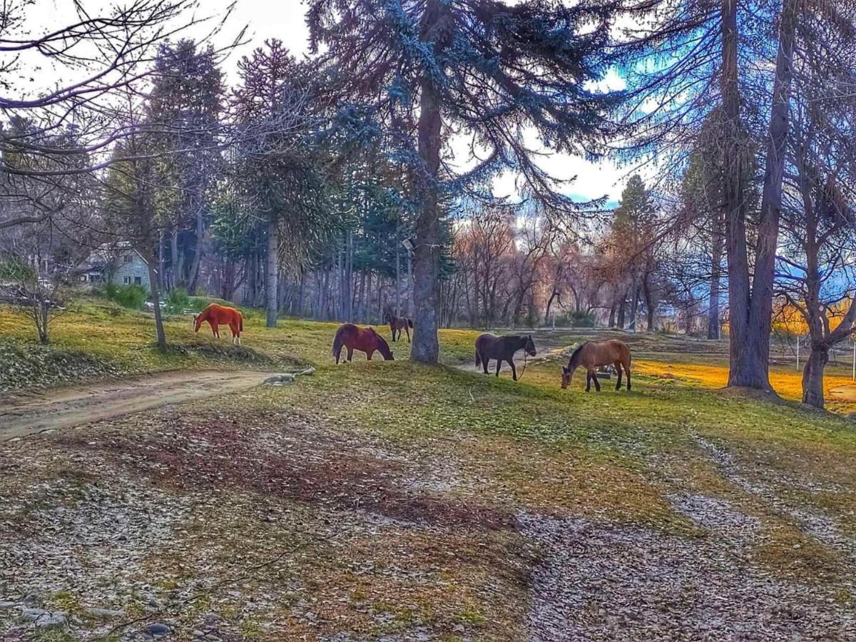 Posada Del Nireco San Carlos de Bariloche Exterior foto