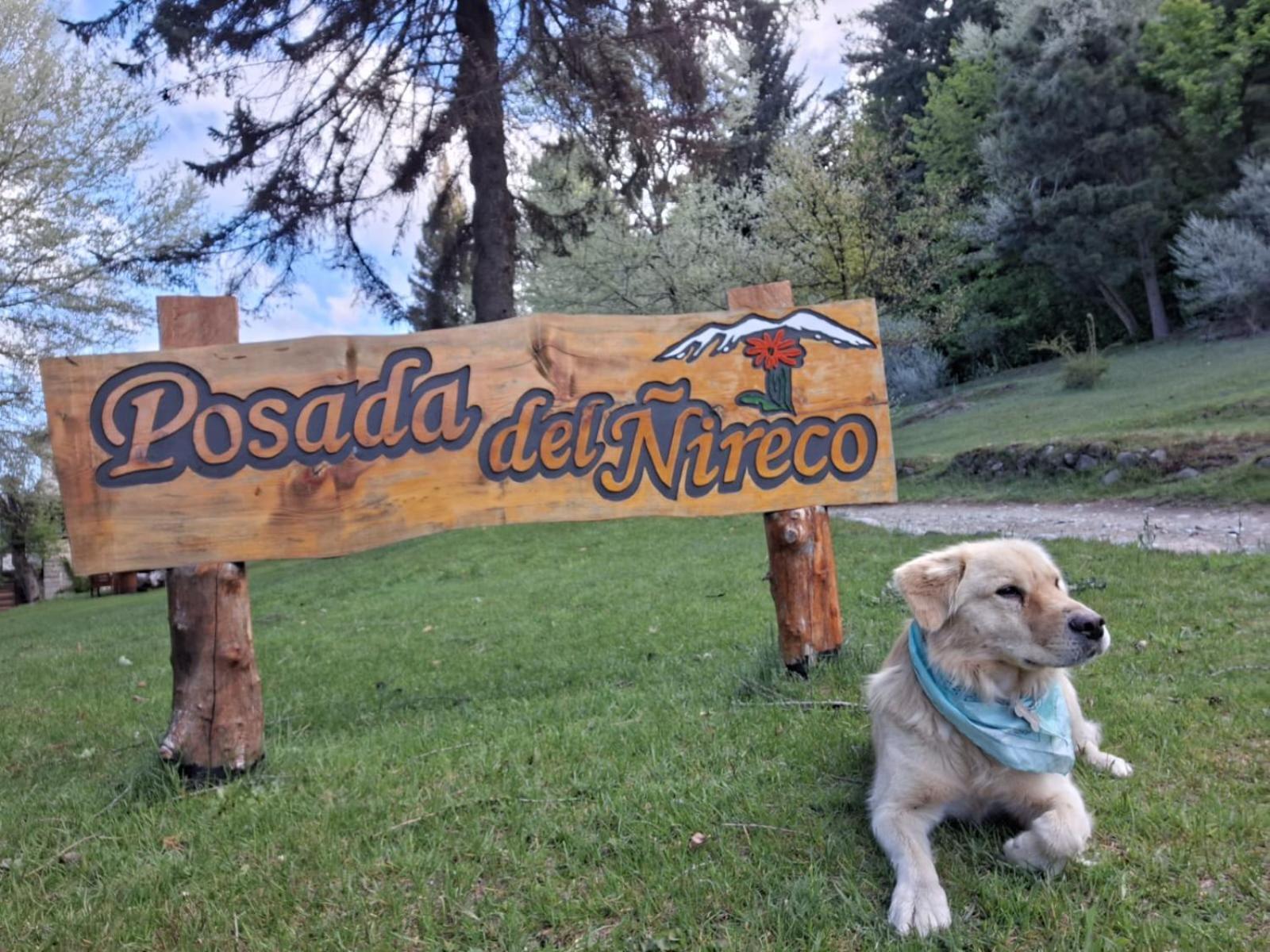 Posada Del Nireco San Carlos de Bariloche Exterior foto