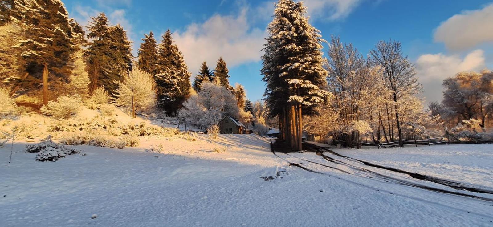 Posada Del Nireco San Carlos de Bariloche Exterior foto